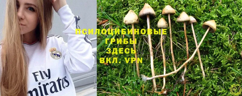 Галлюциногенные грибы Magic Shrooms  kraken ссылки  Всеволожск 